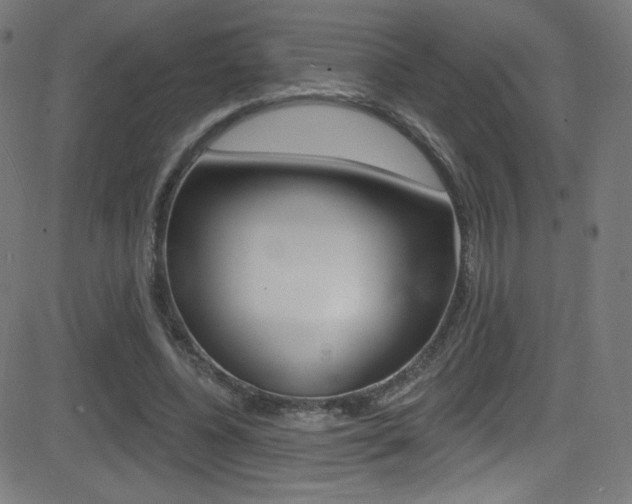 X0000081480540200701121044