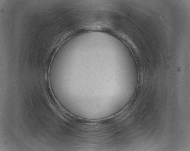 X0000081480541200701121044