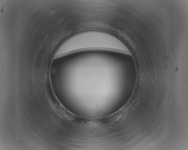 X0000081480546200701121044