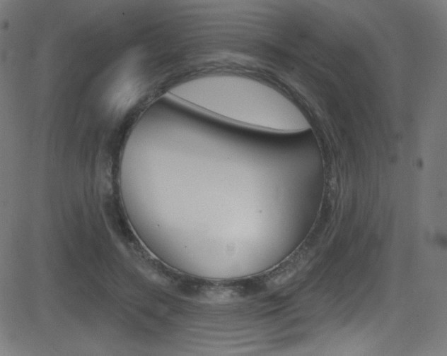 X0000081480547200701121044