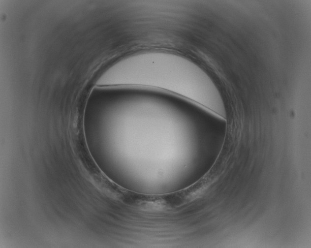 X0000081480548200701121044
