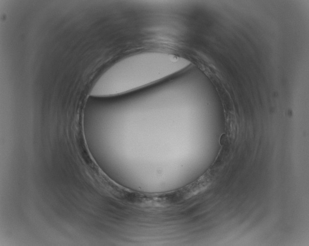 X0000081480550200701121044