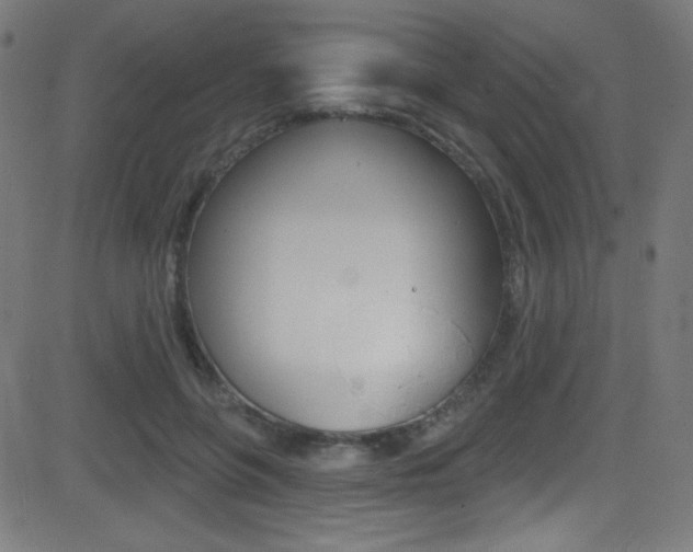 X0000081480551200701121044