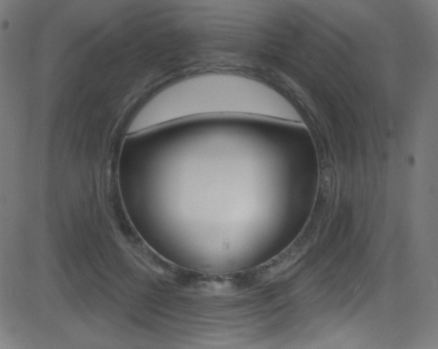X0000081480552200701121044