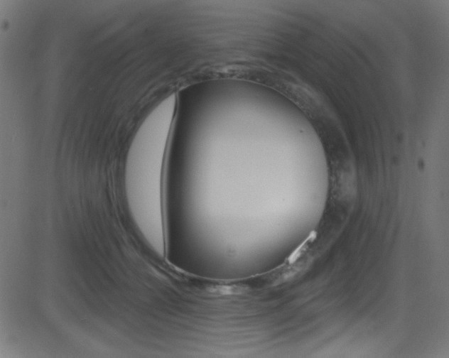 X0000081480558200701121044