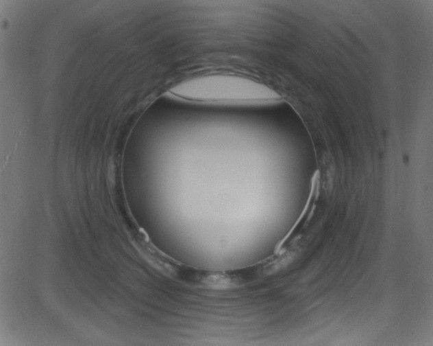 X0000081480562200701121044