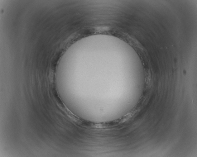 X0000081480565200701121044