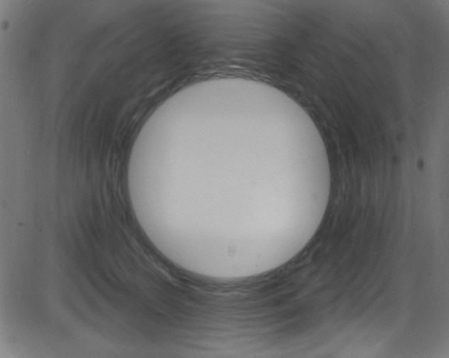 X0000081480566200701121044