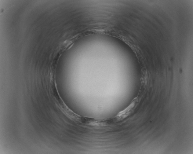 X0000081480568200701121044