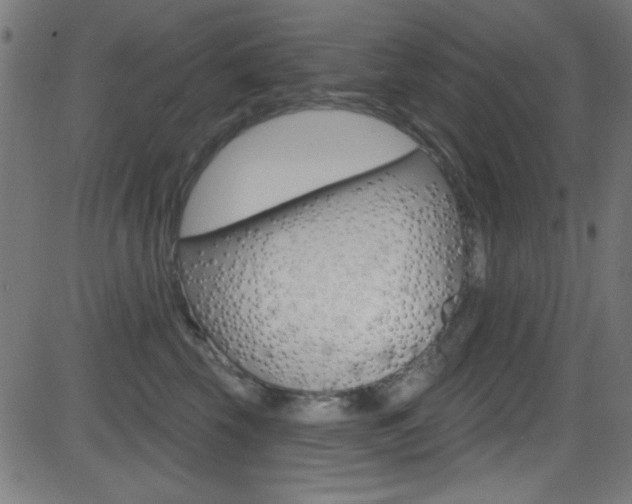 X0000081480569200701121044