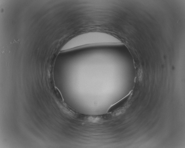 X0000081480570200701121044