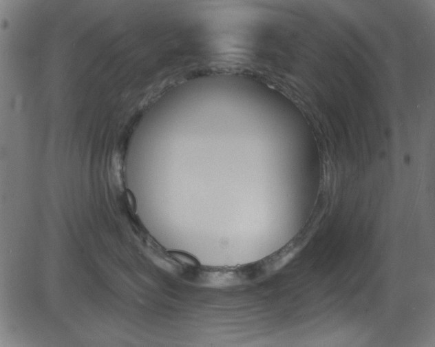 X0000081480575200701121044