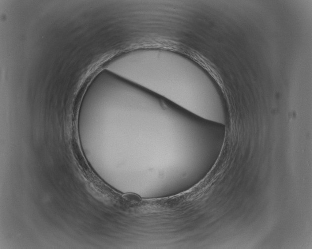 X0000081480578200701121043