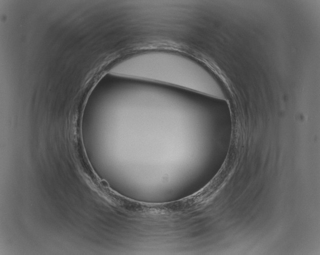 X0000081480585200701121043