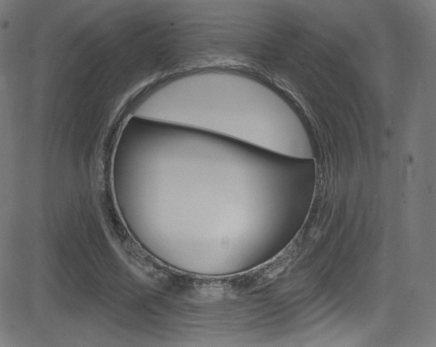 X0000081480587200701121043