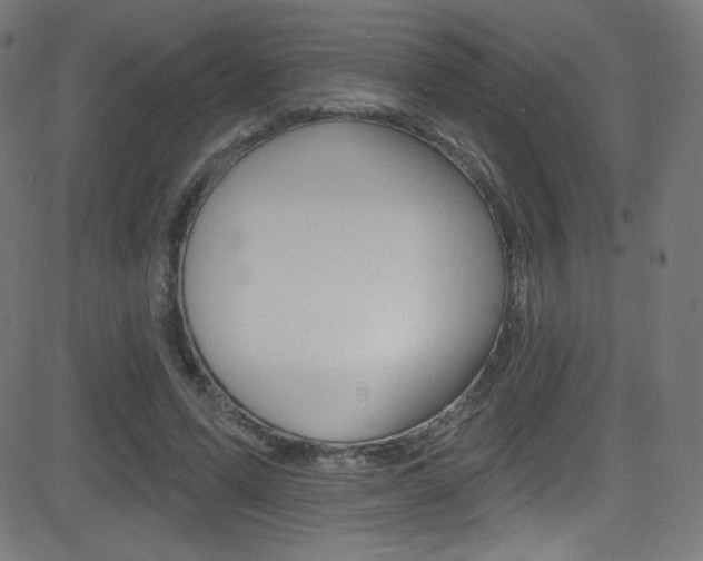 X0000081480591200701121043