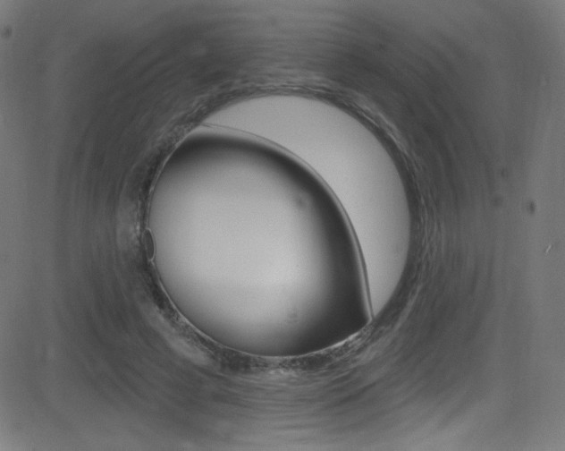 X0000081480593200701121043
