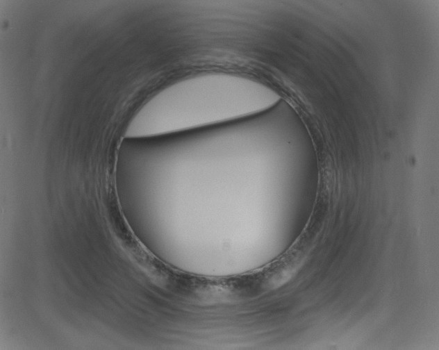 X0000081480594200701121043