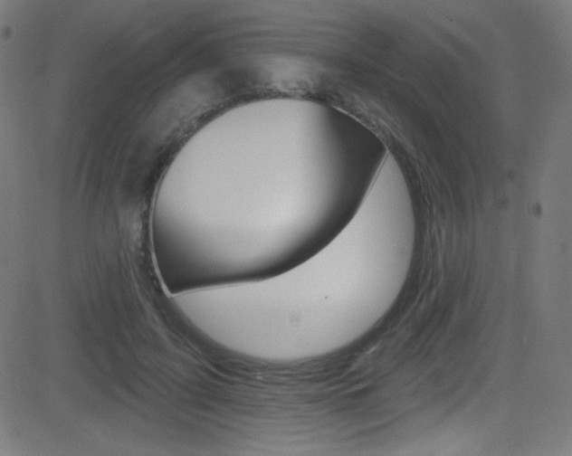 X0000081480595200701121043