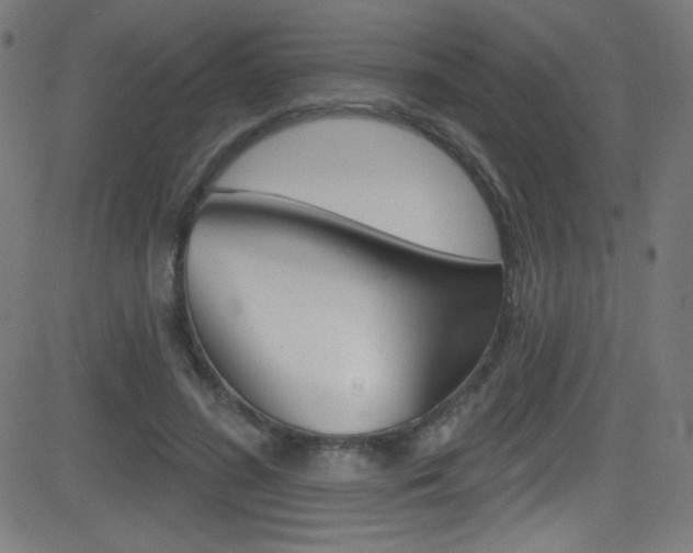 X0000081480596200701121043