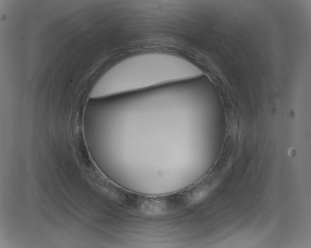 X0000081480599200701121043
