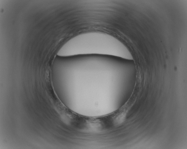 X0000081480603200701121043