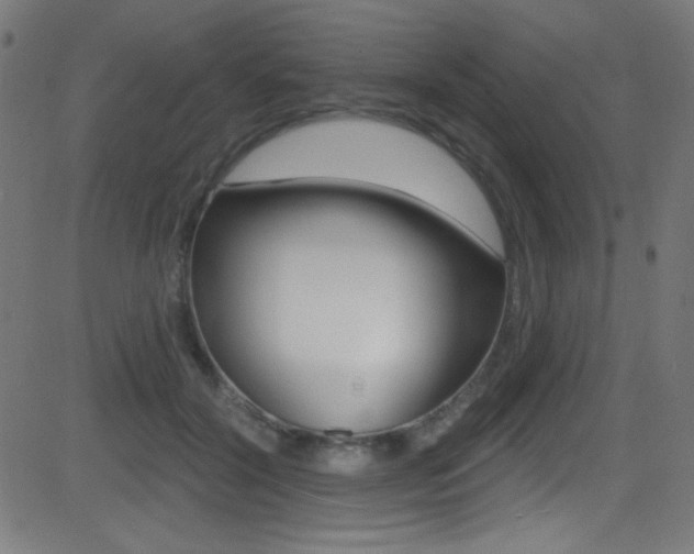 X0000081480604200701121043