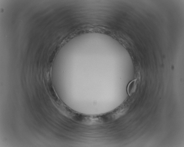 X0000081480607200701121043