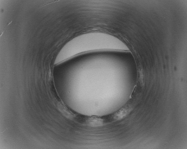 X0000081480617200701121043