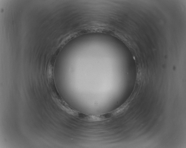 X0000081480623200701121043