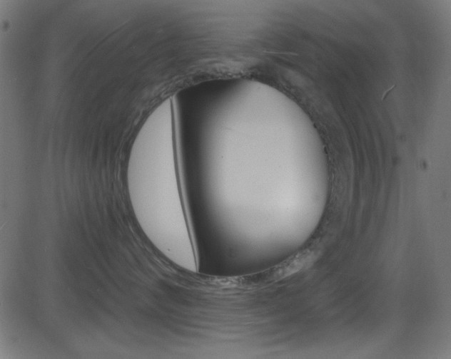 X0000081480624200701121043