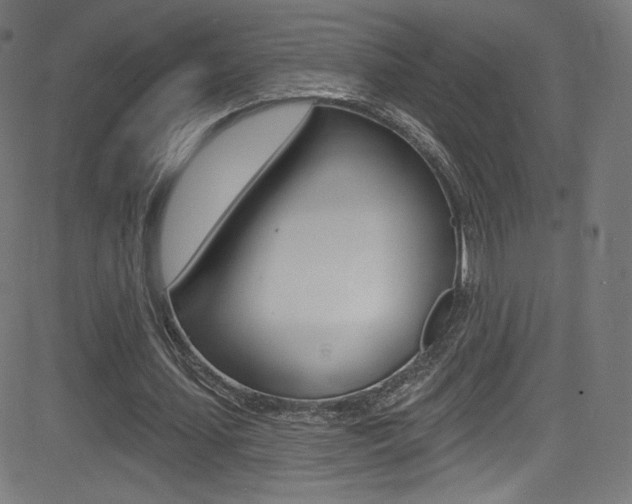 X0000081480627200701121042