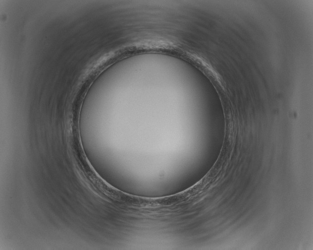X0000081480631200701121042