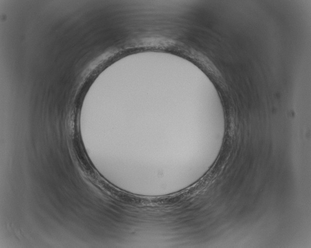 X0000081480632200701121042