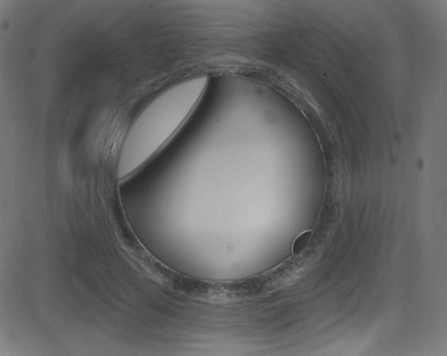 X0000081480641200701121042