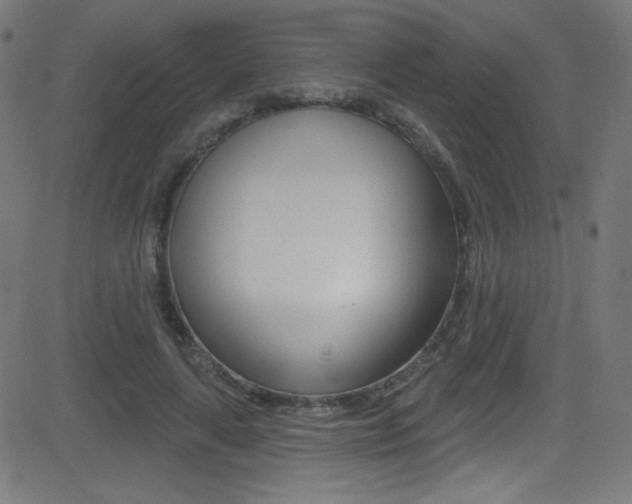 X0000081480643200701121042