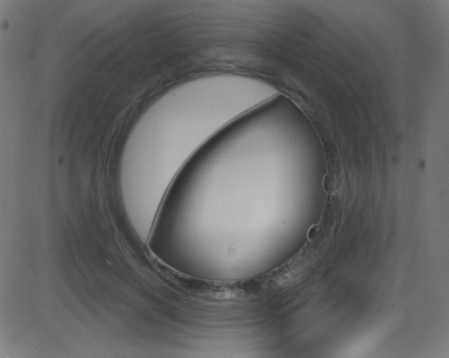X0000081480646200701121042