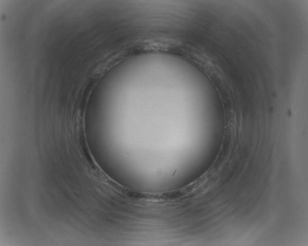 X0000081480649200701121042