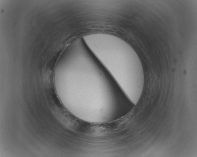 X0000081480650200701121042