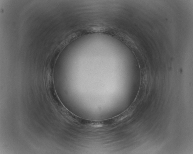 X0000081480651200701121042