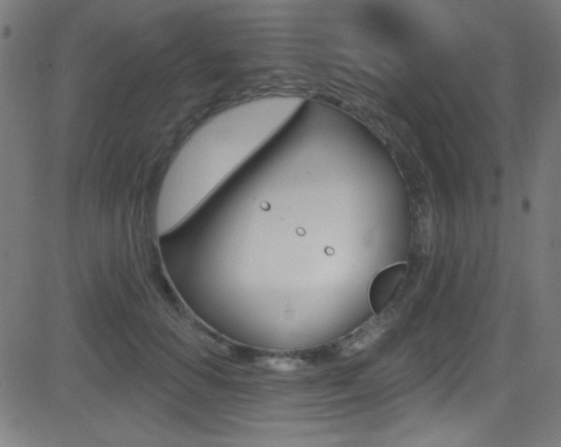 X0000081480654200701121042