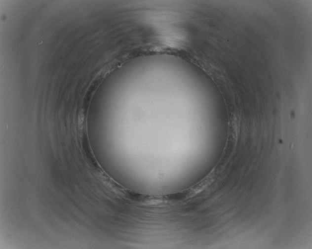 X0000081480657200701121042