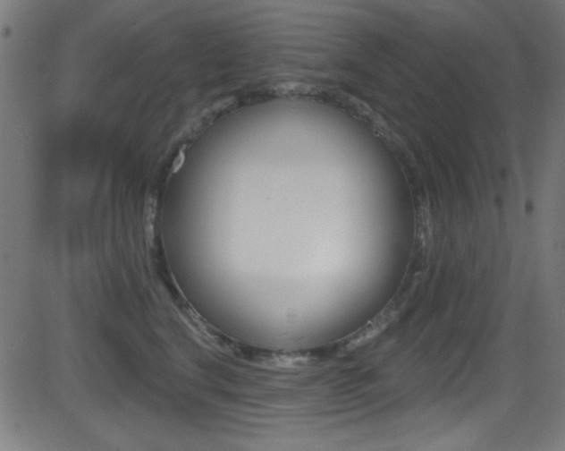 X0000081480664200701121043