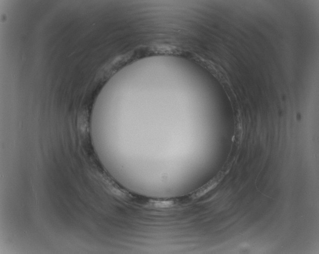 X0000081480665200701121043