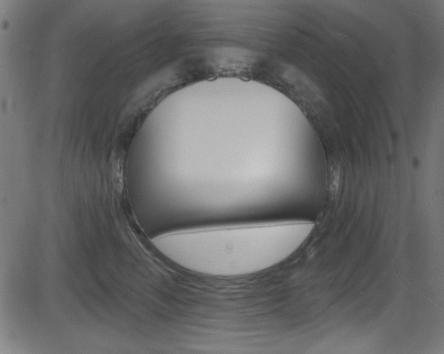 X0000081480666200701121043