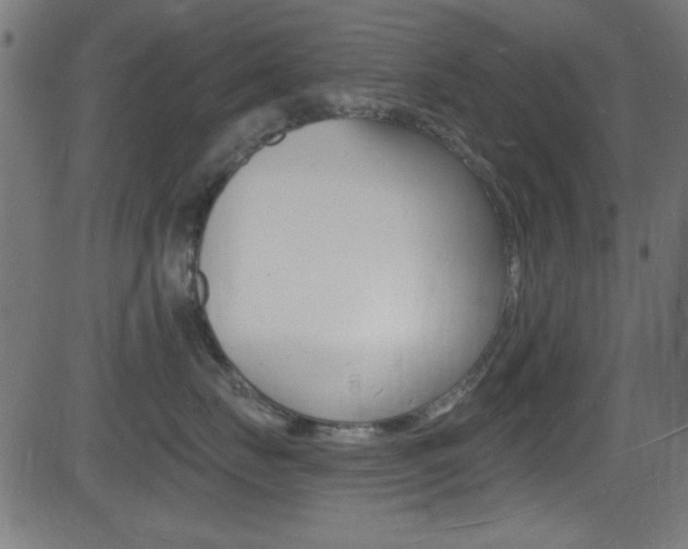 X0000081480671200701121043