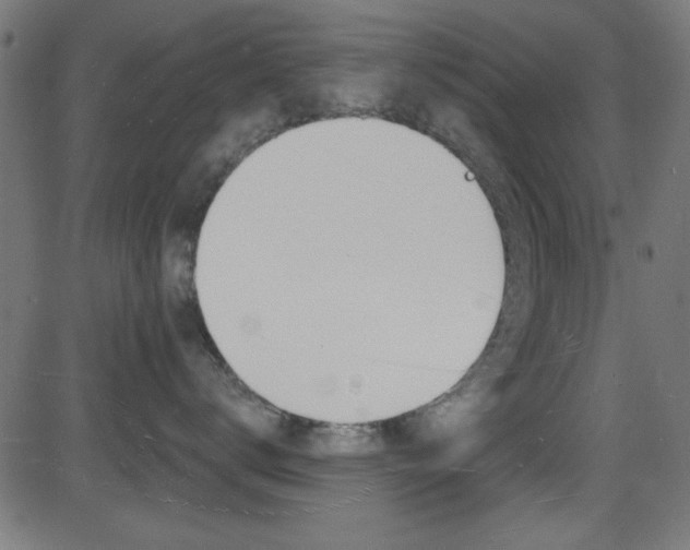 X0000081480672200701121043