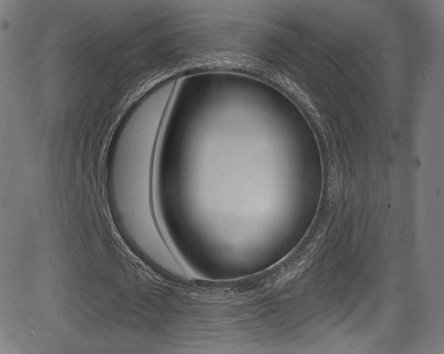 X0000081480673200701121042