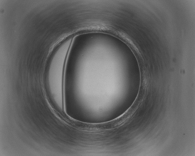 X0000081480677200701121042