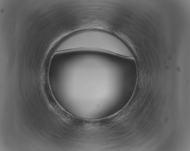 X0000081480680200701121042